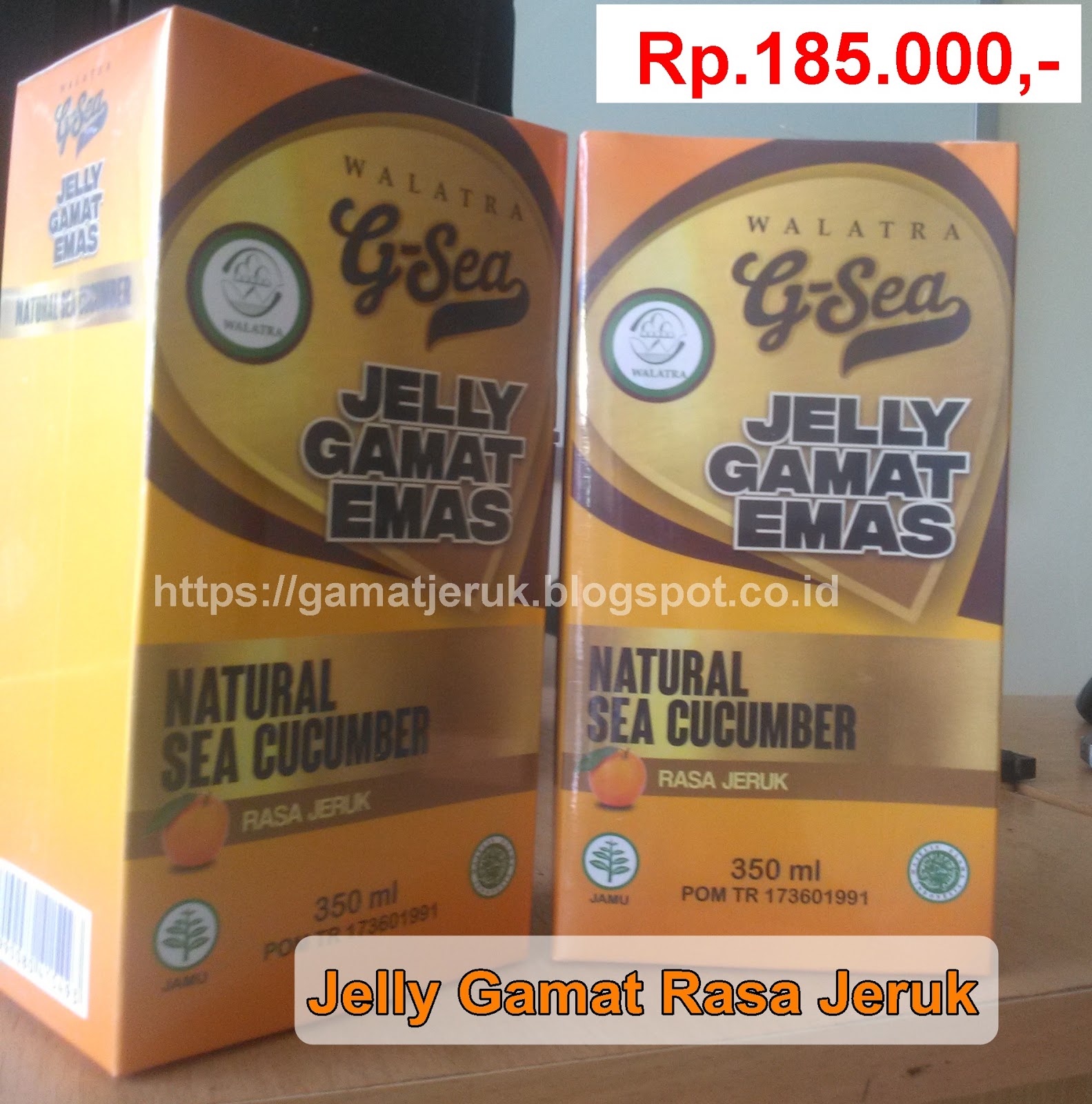 Obat Ampuh Untuk Penyakit Gondongan Gamat Rasa Jeruk