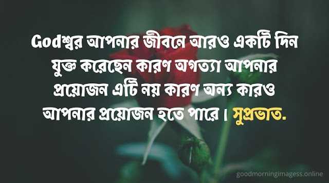 good morning images with bengali quotes,bengali good morning images for whatsapp free download, good morning bengali shayari download, good morning whatsapp bengali, good morning with rabindranath in bengali, bangla suprovat image, good morning quotes in bengali language