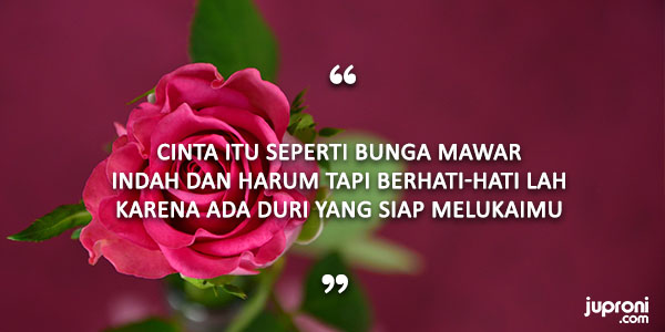 50 Kata Kata Mutiara Caption Tentang Bunga  Juproni Quotes 