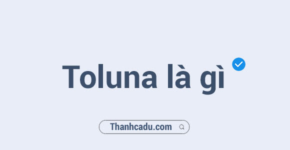 Toluna là gì? Có thể kiếm tiền ngay!