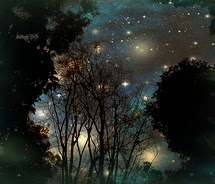 Night-Sky-Reflections