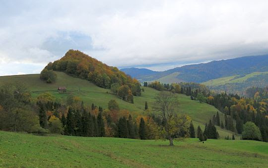 Wzniesienie Homole (726 m n.p.m.). Wzniesienie Homole (726 m n.p.m.).