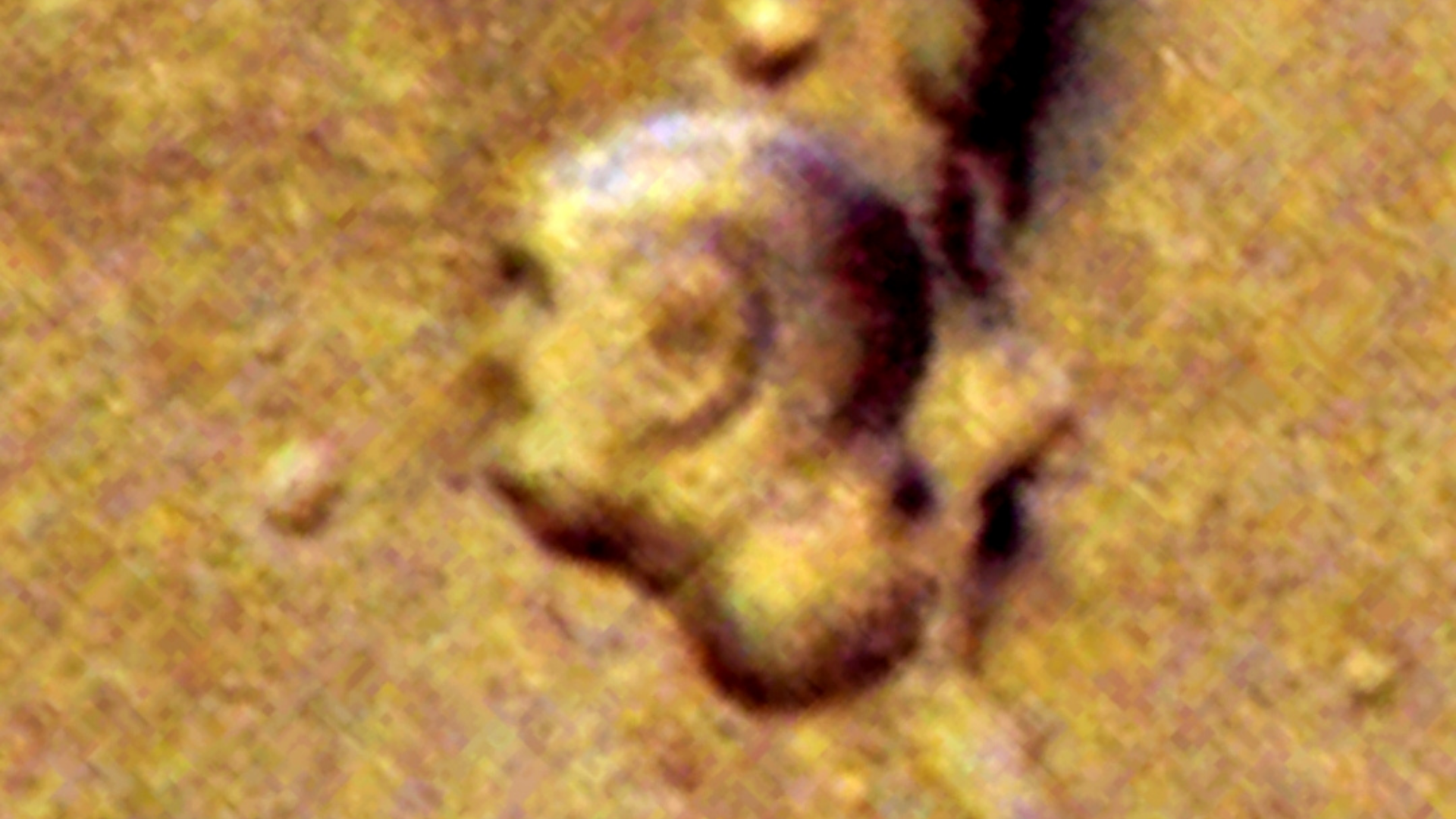 This is a human looking head that was found on Mars by Scott Waring.