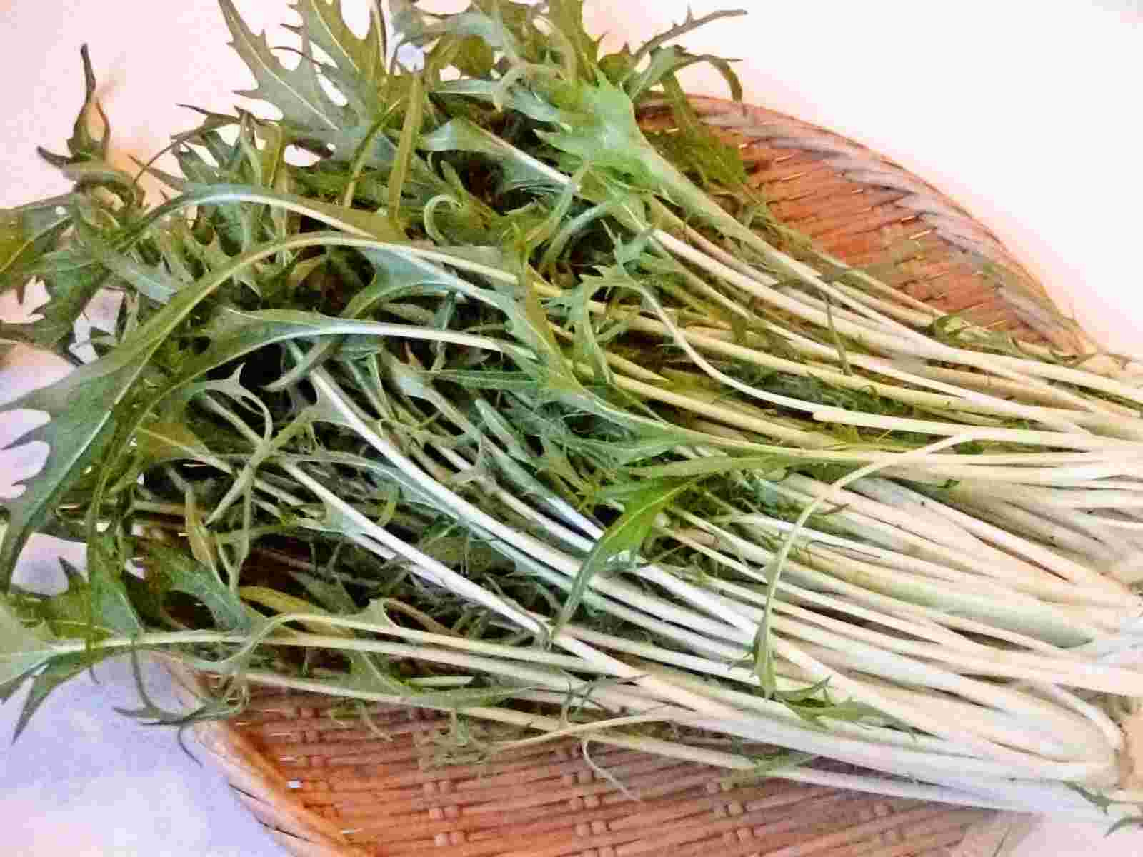 Recipes for Tom Mizuna and mibuna mustard greens