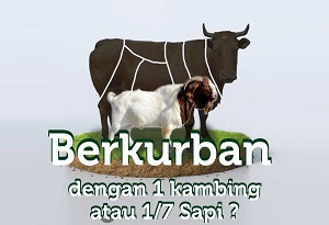 Qurban 1 Sapi Untuk 8 Orang Bolehkah Cerita Kiyai Al Qur An Hebat
