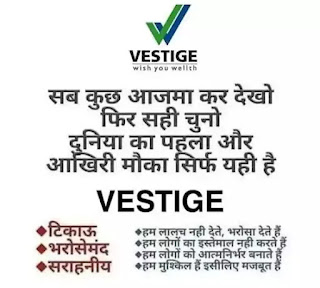 what is vestige