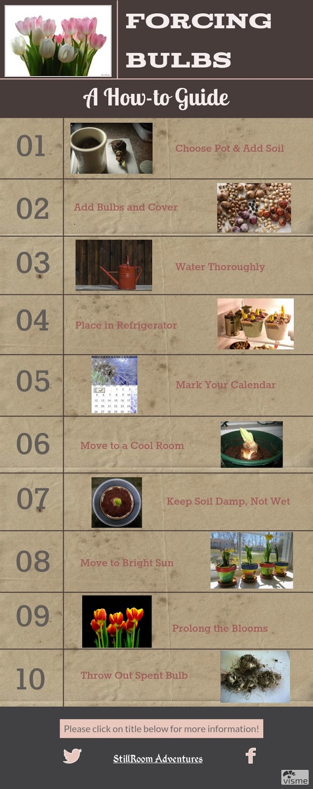 Forcing Bulbs A Howto Guide