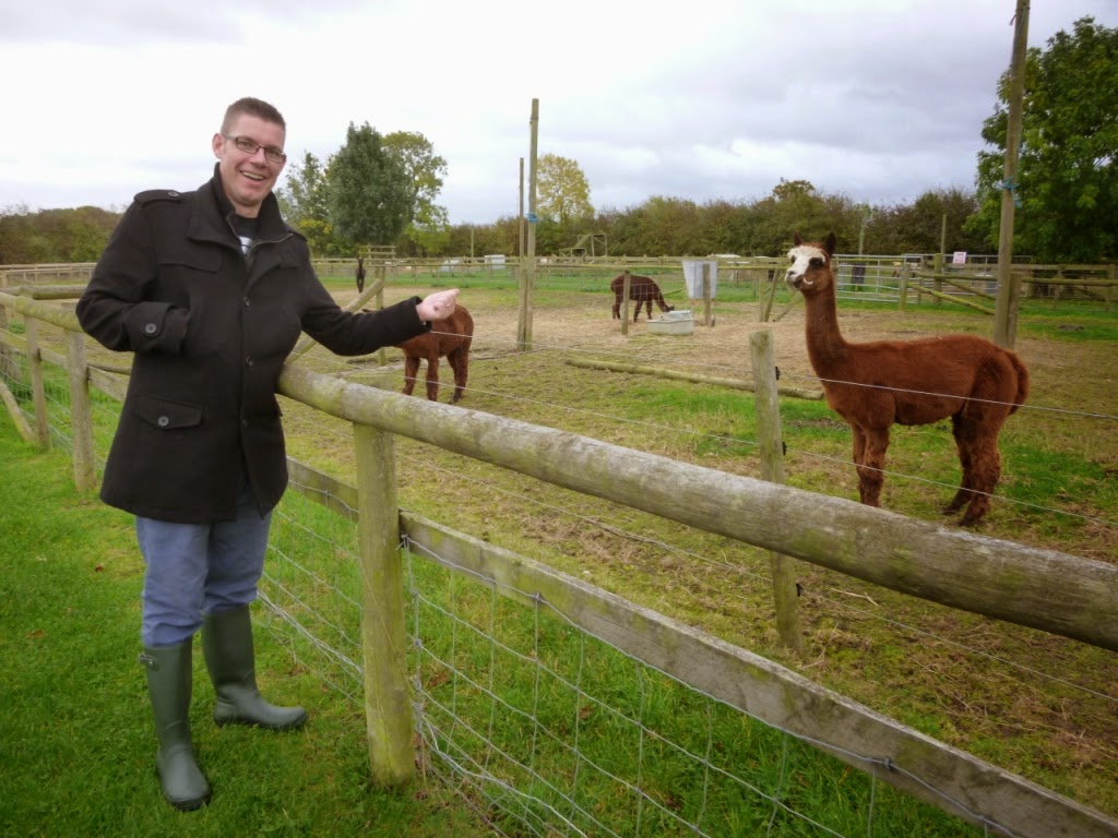 The Ham and Egger Files Crazy Golf at Mead Open Farm in Billington