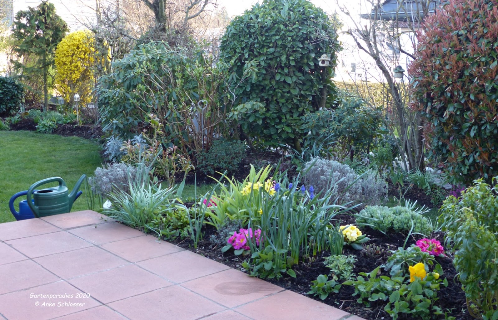Ankes * * * Natur und Gartenparadies * * * Unser Garten