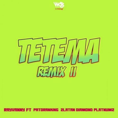 Rayvanny-Tetema-Remix-II-585x585-www.mp3made.com.ng.jpg