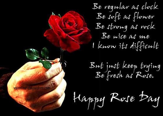 Rose day Images 2020 Rose day Images 2020