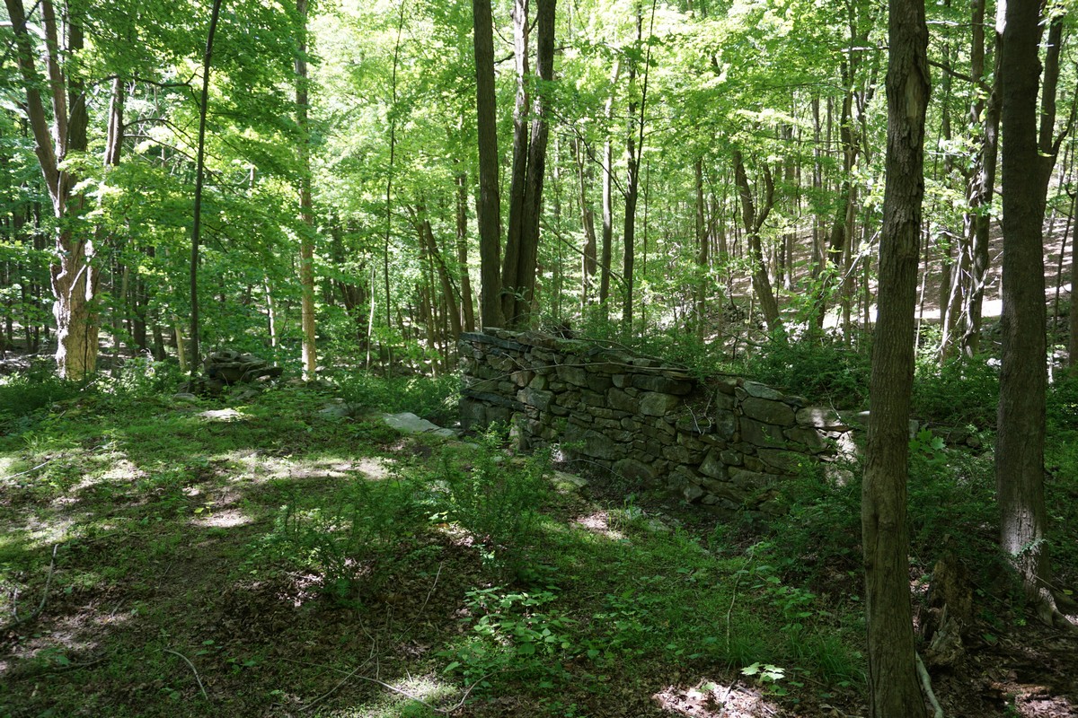 Harriman Hiker Harriman State Park and Beyond East Mountain