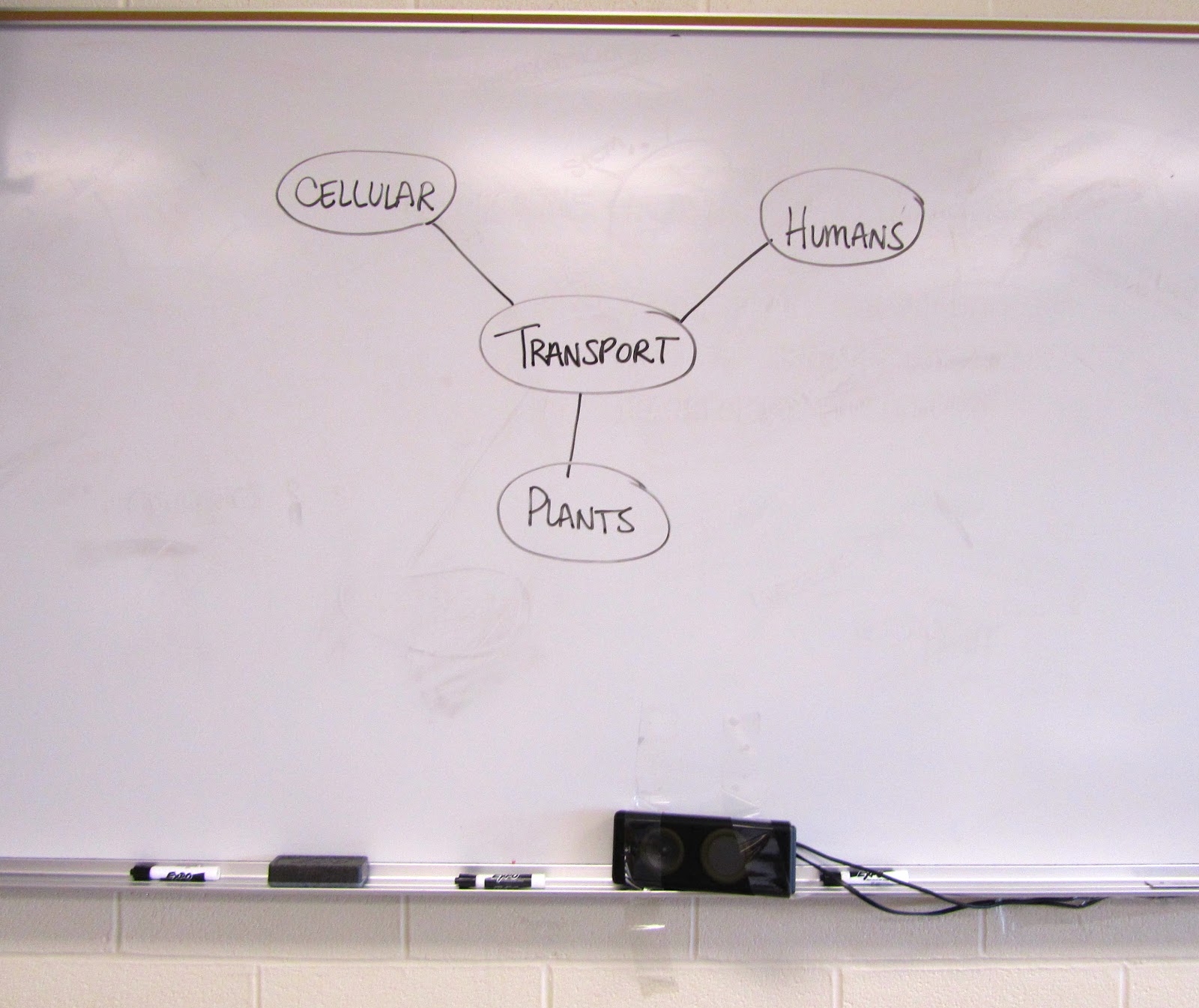 3d Using Assessment In Instruction With Silent Mind Maps