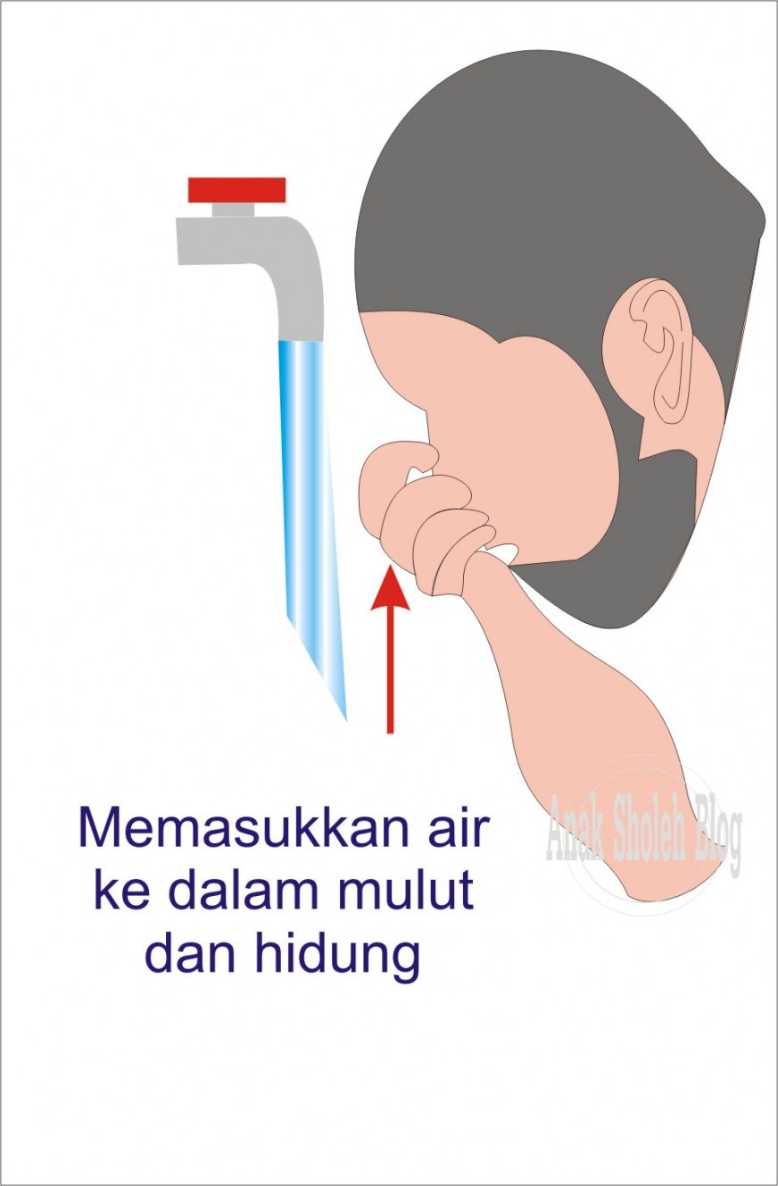 Urutanurutan Tata Cara Berwudhu dengan Benar Anak Sholeh