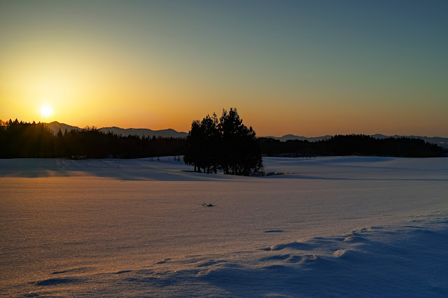 #photo #landscape #sigma #foveon #sdquattroh #japan #yamagata #tsuruoka #写真 #風景写真 #山形帝國 #山形県 #鶴岡市