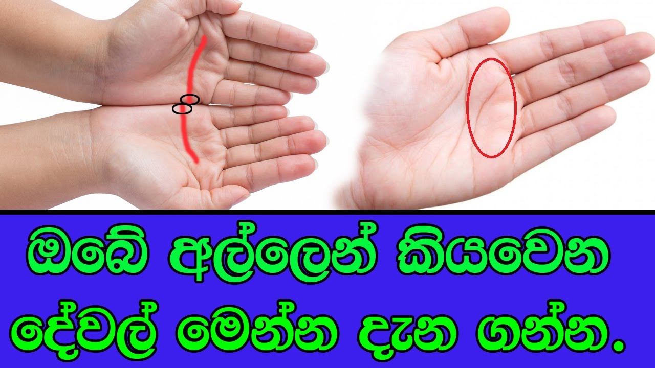 hastha rekha - india news collections