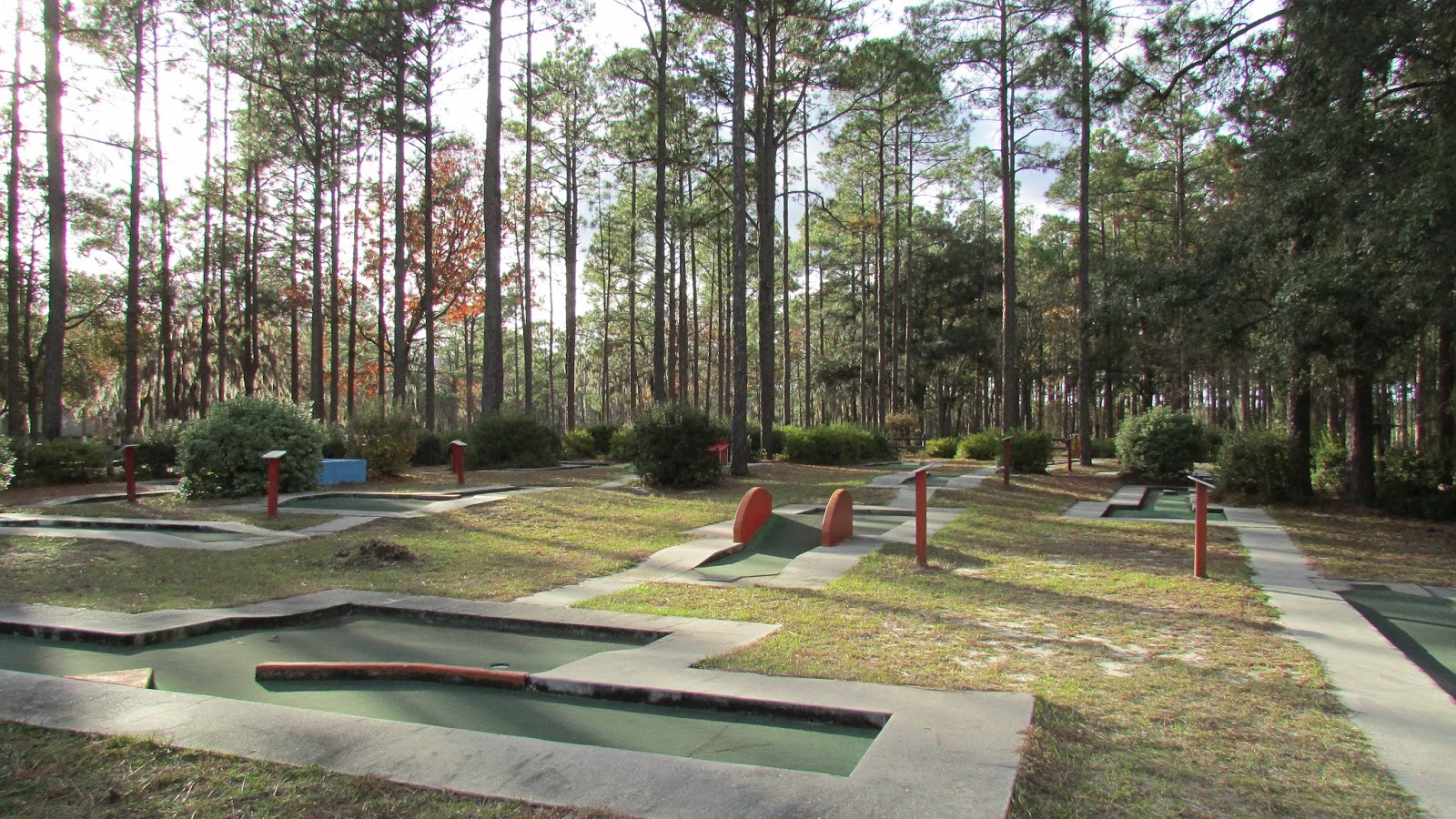 Adventures Of Toaster Gordonia Alatamaha State Park, Reidsville, GA.