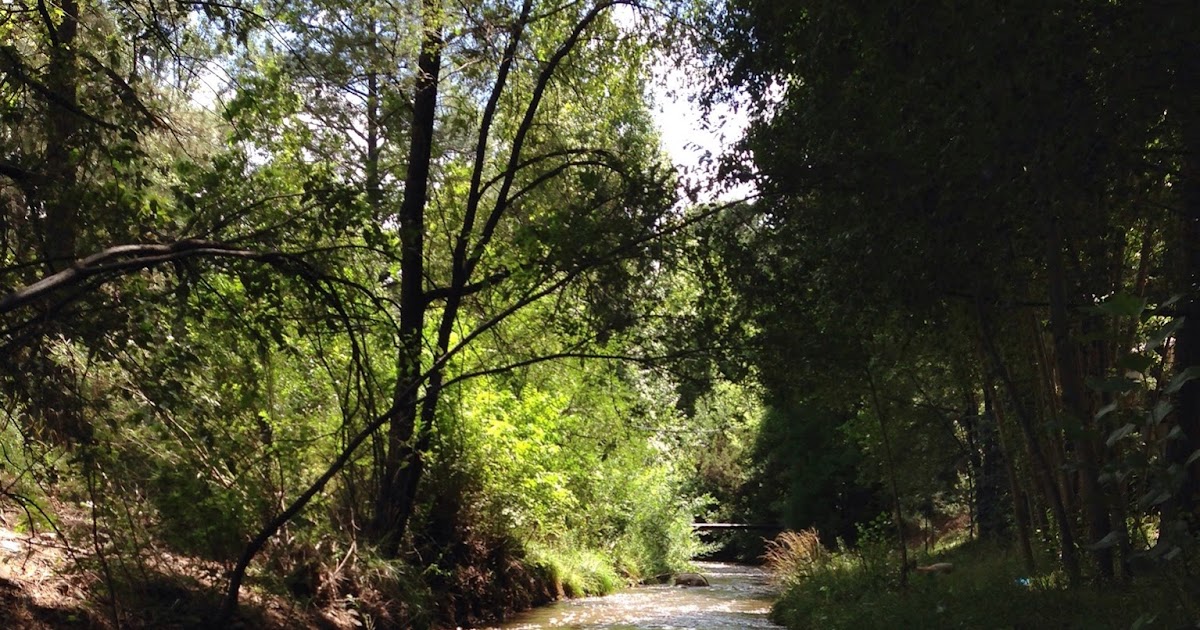 Southern New Mexico Explorer Rio Ruidoso, Tularosa Creek