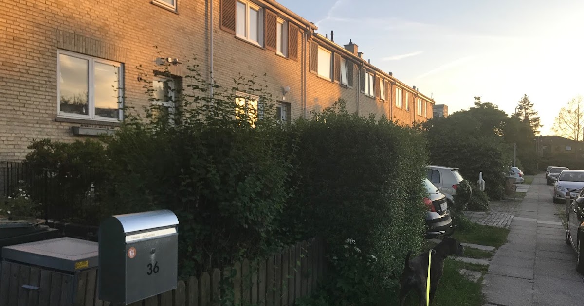 The Final Exam Of My Bachelor Thoughts Before And After