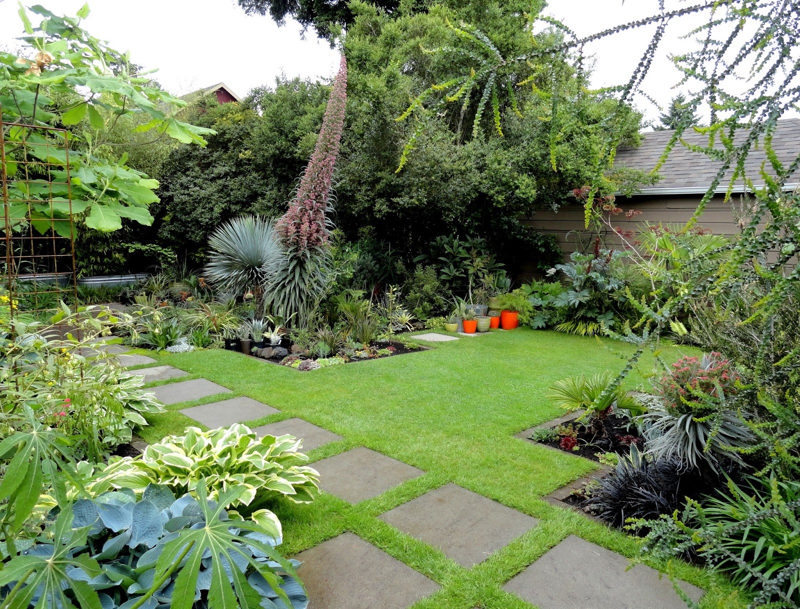 danger garden: Yes as a matter of fact I did get rid of some lawn…