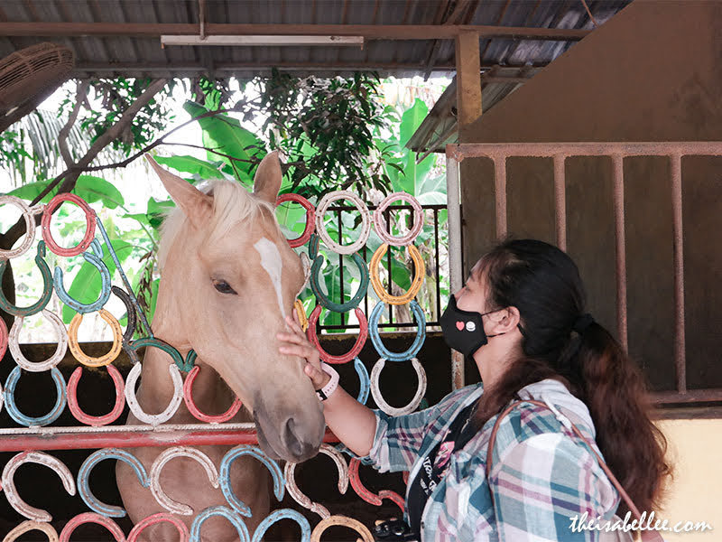 Countryside Stables Penang 2