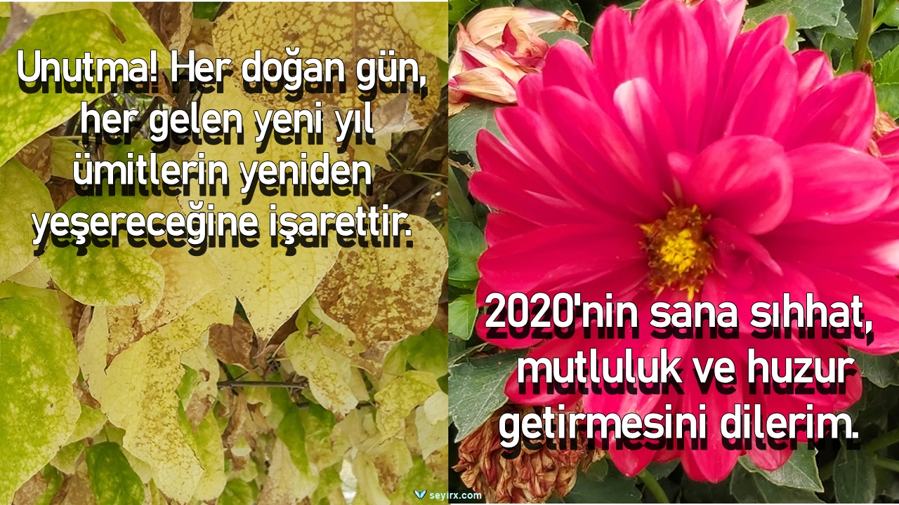 Christmas wreath vintage pine card ebay ephemera cones cards pollyanna greeting kaynak Yeni Yıl Kartı Ve Dilekleri