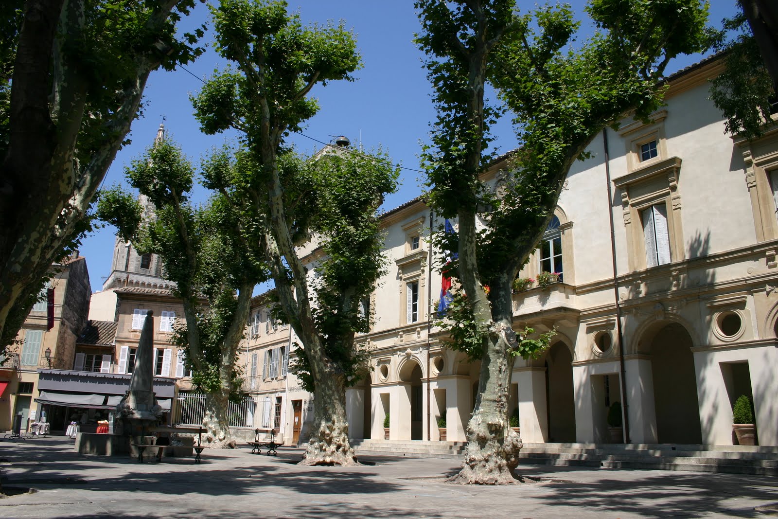 Provence Tayl's A day in Saint Remy de Provence