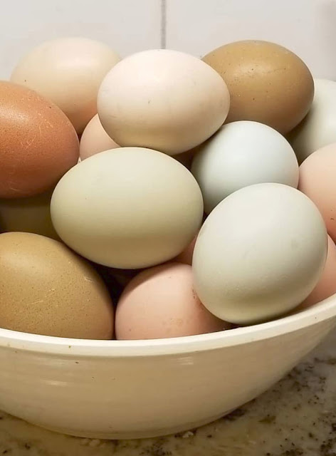 colored eggs in bowl