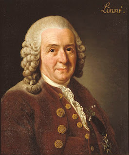 Carolus Linnaeus pencetus Sistem Tata Nama Ganda  atau Binomial Nomenklatur