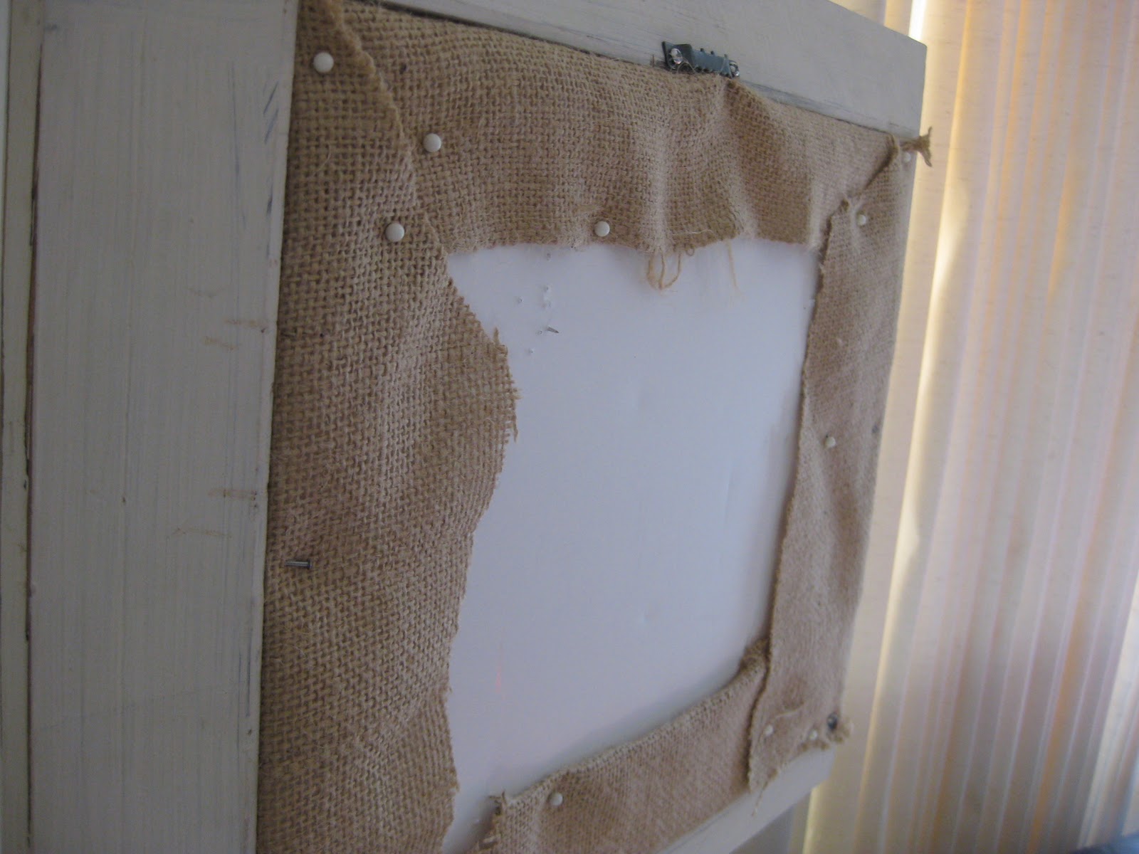 The Real Housewife of...San Diego! Framing Fabric