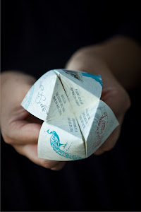 Cootie Catcher