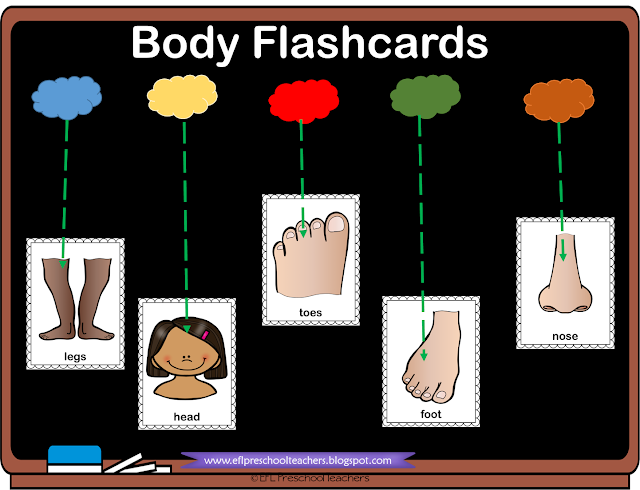 body flashcards