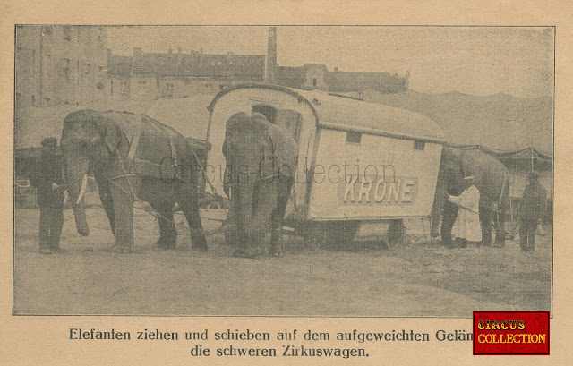 Les éléphants du cirque géant Allemans Krone tirent une roulotte enlisée dans le boue 