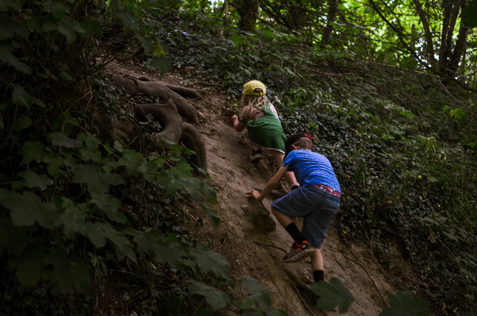 Bearsted Woods, the peoples woods, maidstone