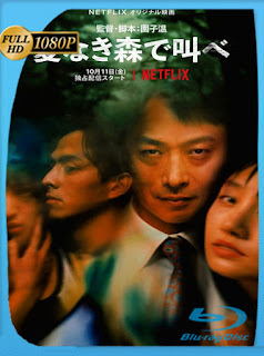 El bosque sangriento (2019) HD [1080p] Latino [Google Drive] Panchirulo