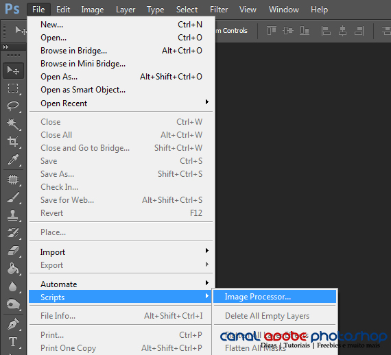 Converter arquivos RAW para o formato JPEG utilizando o Processador de
