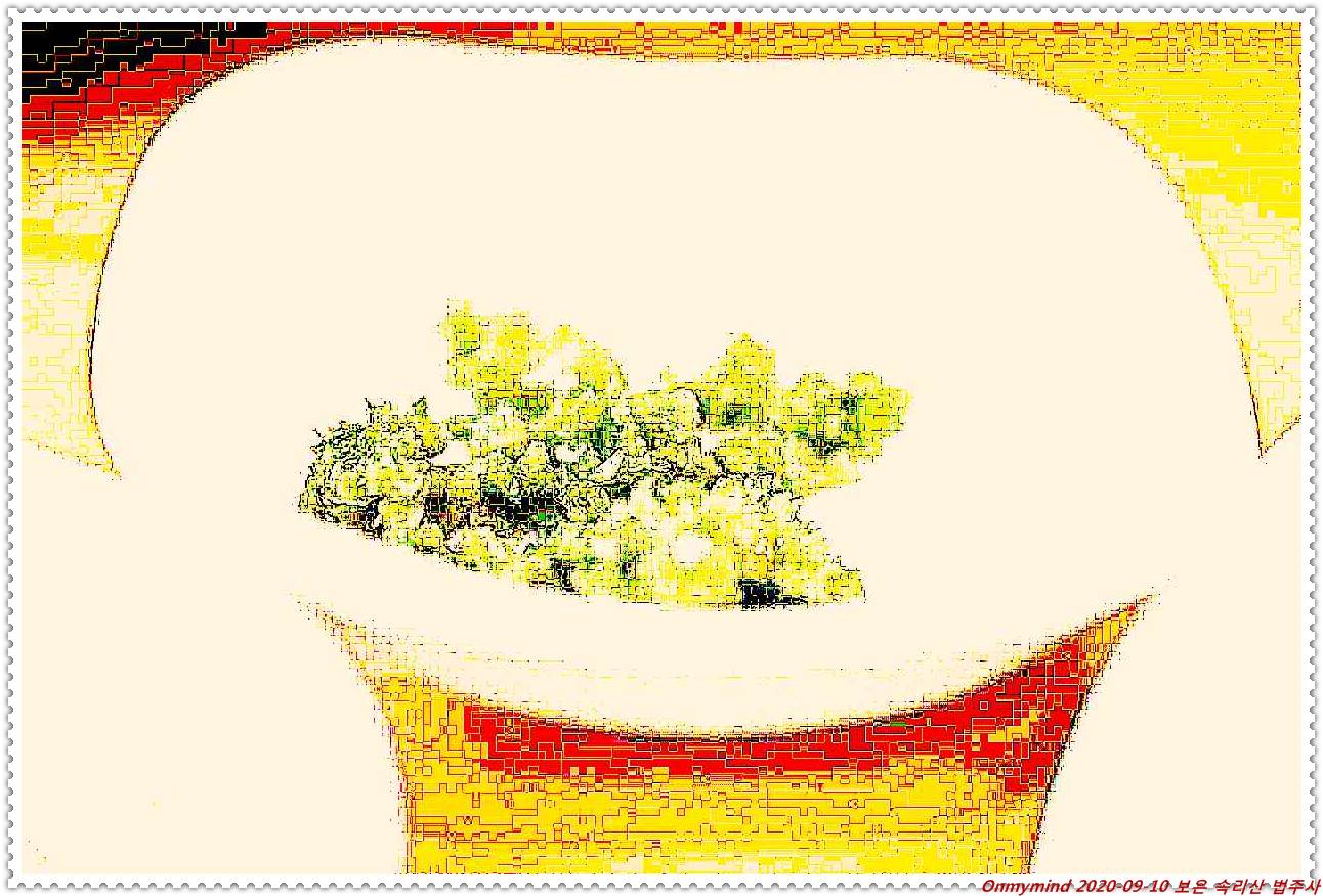 속리산 법주사 속리산 법주사