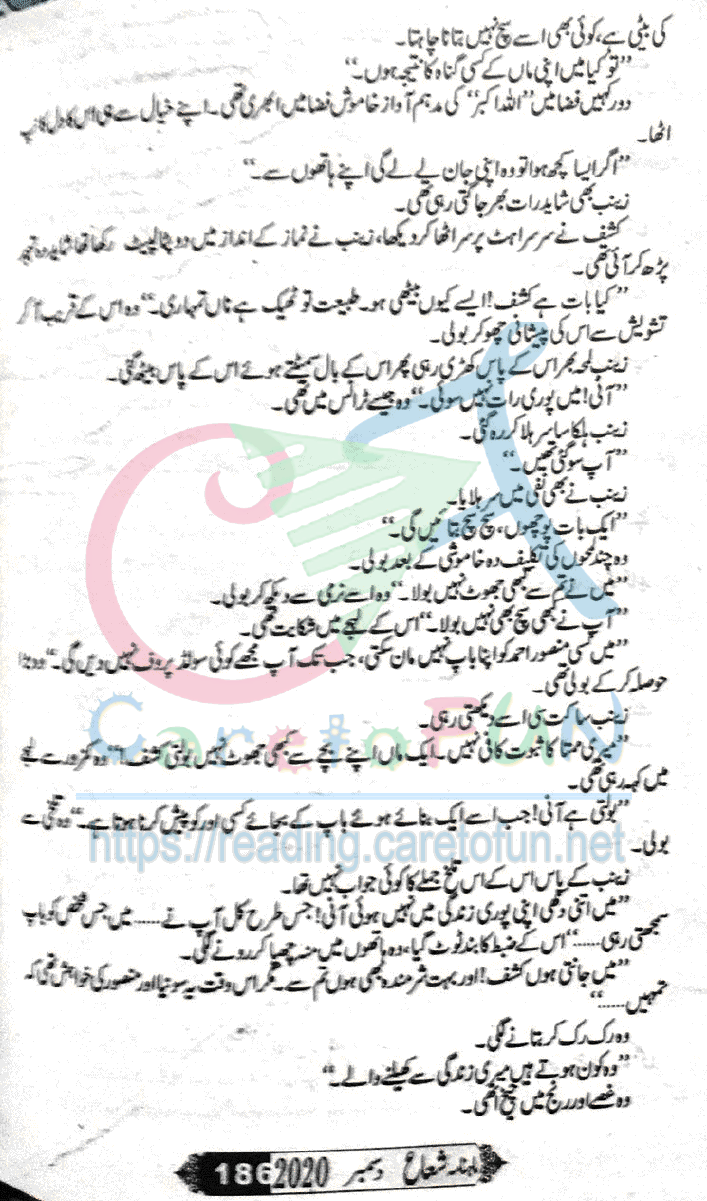 Sham Ki Haveli Main By Rukhsana Nigar Adnan Episode 24