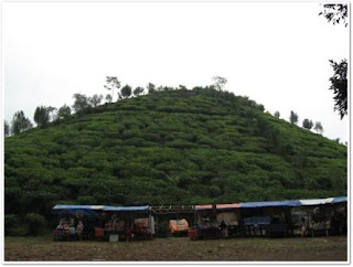 borobudur hill http://magetan-indah.blogspot.com