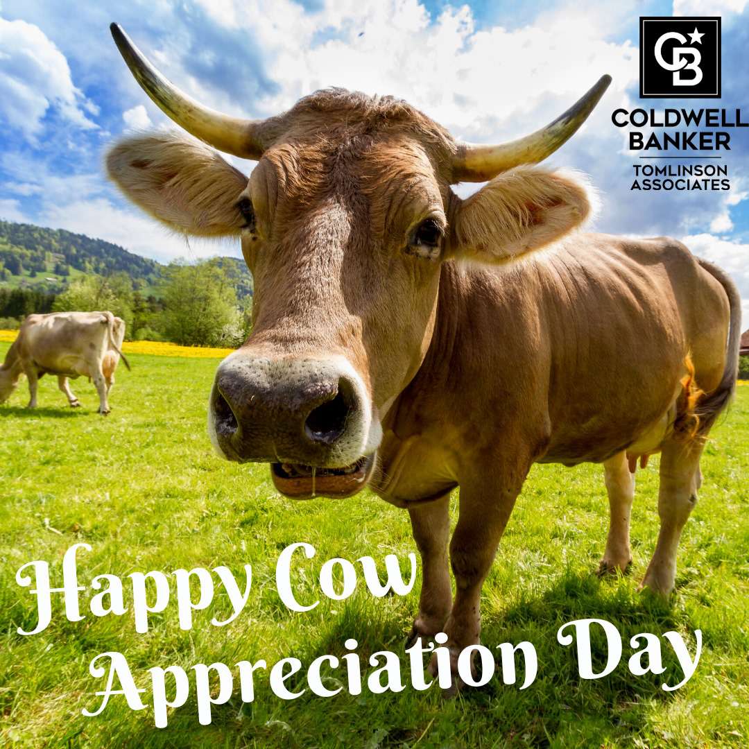 28 HQ Pictures Happy Cow Appreciation Day Happy Cow Appreciation Day