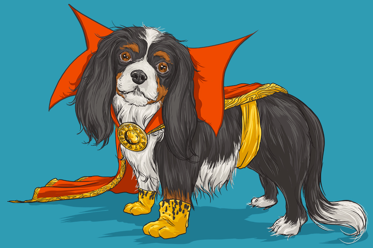 15-Josh-Lynch-Illustrations-of-Dogs-with-Marvel-Comic-Alter-Egos-www-designstack-co