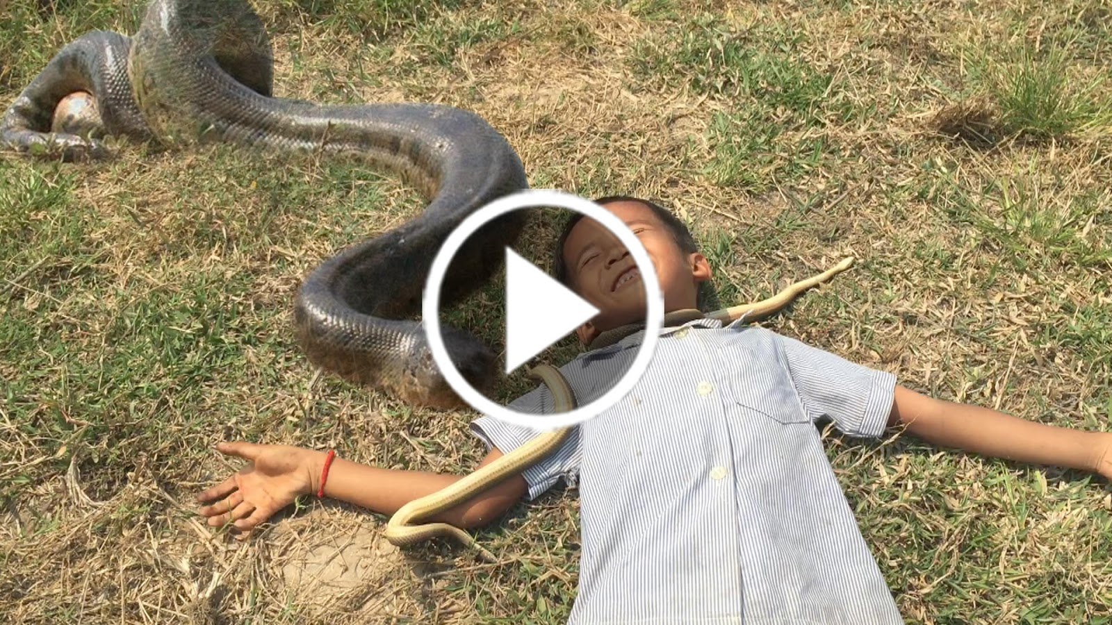 Wow ! Boys Catch Snake In The Hole How to Dig & Catch Snake In