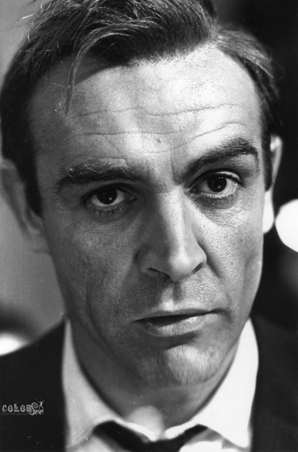 Hollywood Best Actor Sean Connery | Hollywood CelebSee