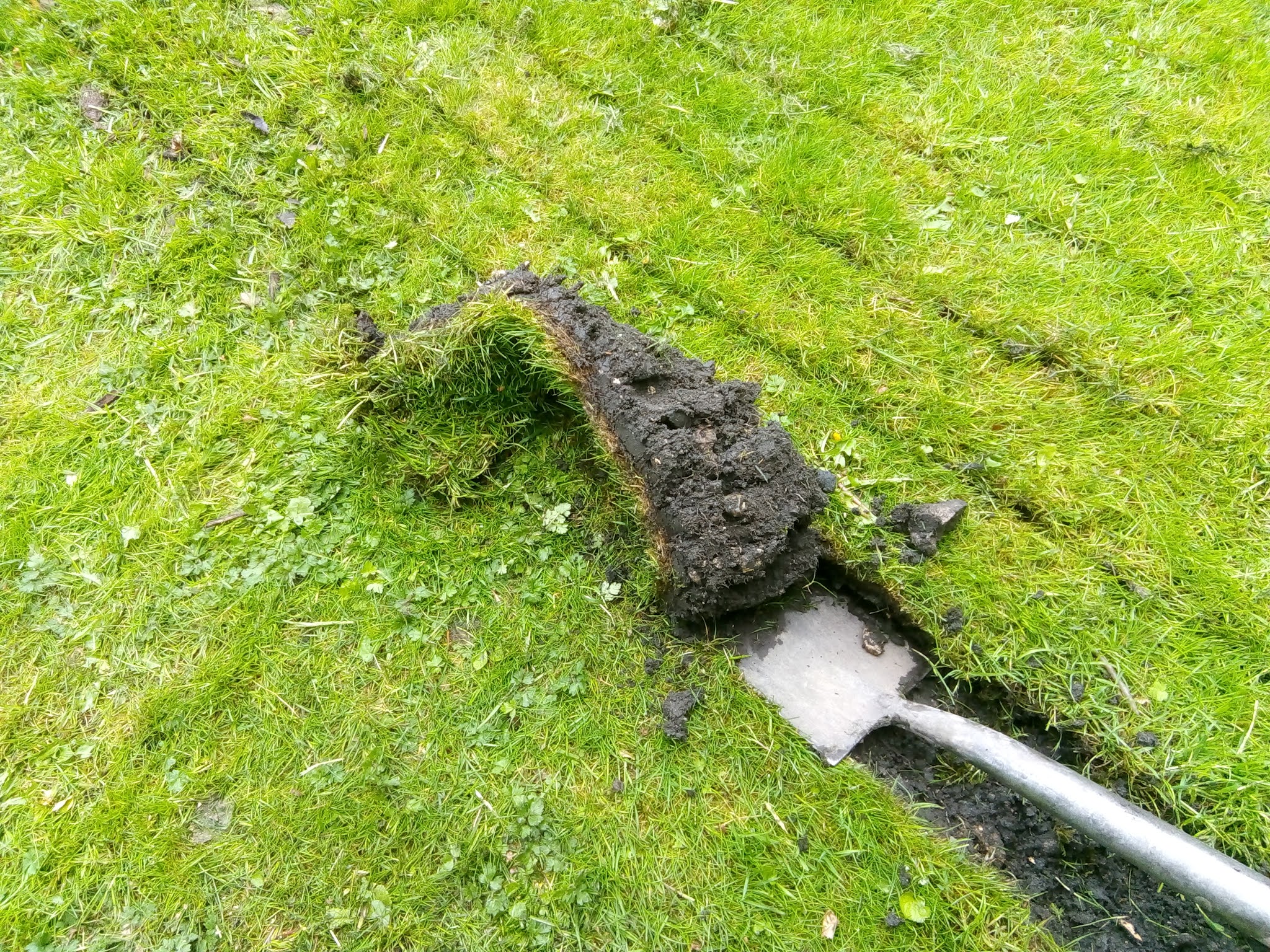 Rachel the Gardener How to lift turf. The easy way.