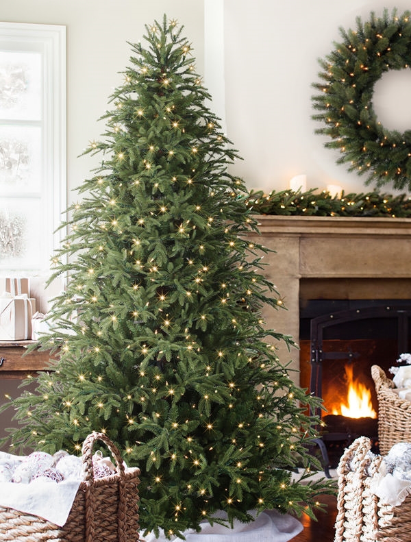 Christmas in July Tree Shopping!!