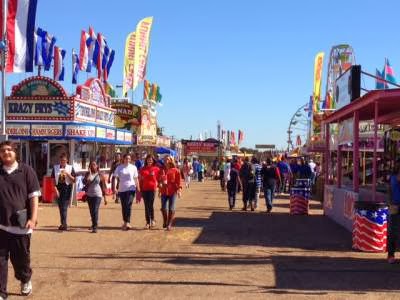 Wandering Brook: Food for Thought : Halloween & Louisiana State Fair