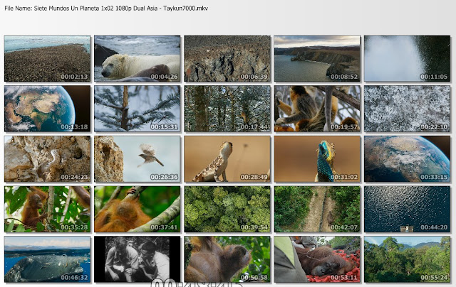 BBC|7 Mundos un Planeta|2019|1080p|7/7|Taykun7000
