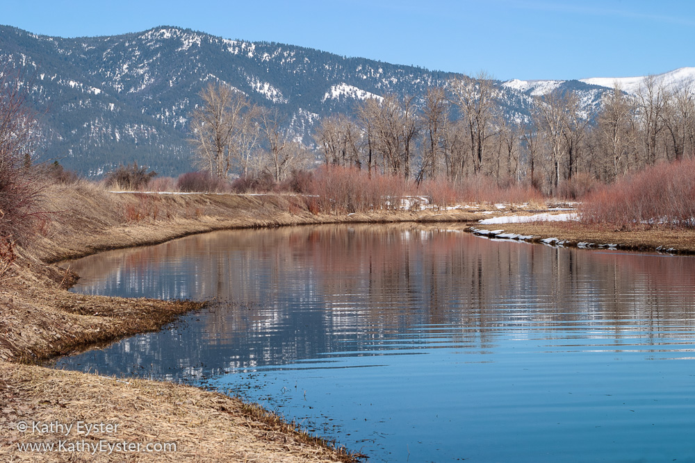 Picturing a Park Overview Shot