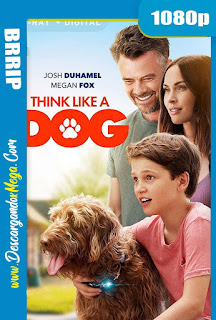 Think Like a Dog (2020) 