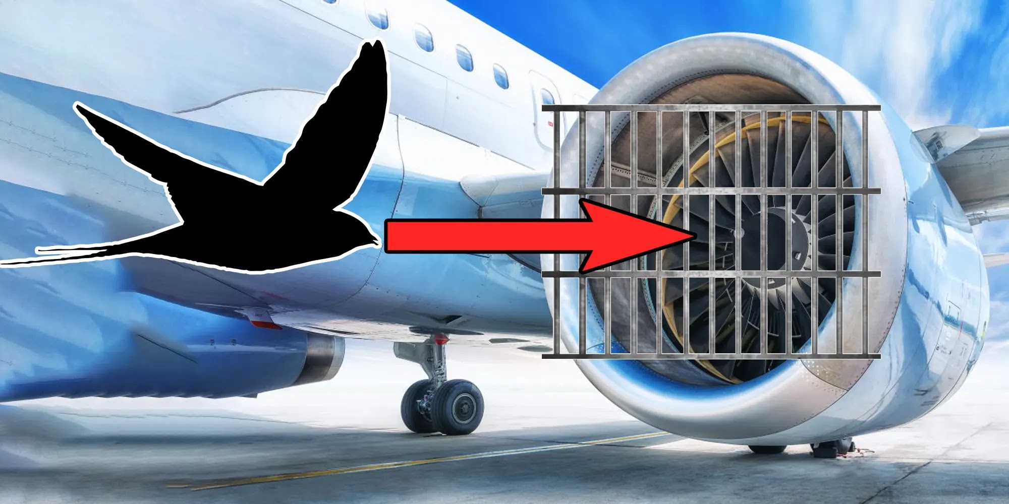 Why don't Engineers Use Grates on Jet Engines to Stop Bird Strikes?